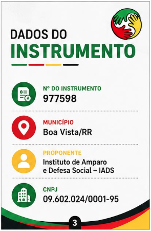 Card 3 com dados do instrumento